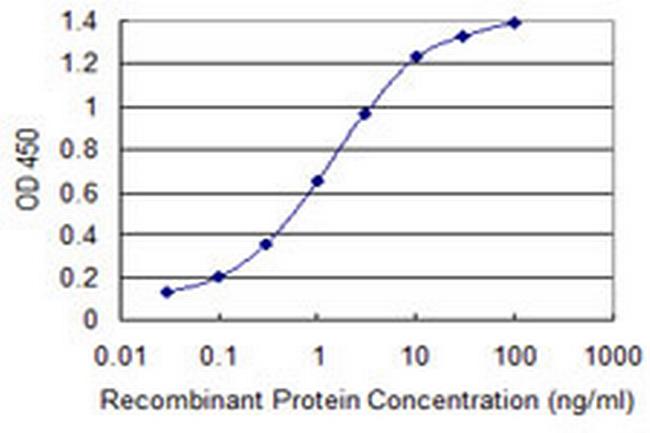 TKTL2 Antibody in ELISA (ELISA)