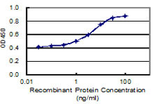 LRRIQ1 Antibody in ELISA (ELISA)