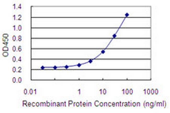 LOXL4 Antibody in ELISA (ELISA)