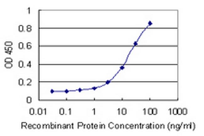 CAMKK1 Antibody in ELISA (ELISA)