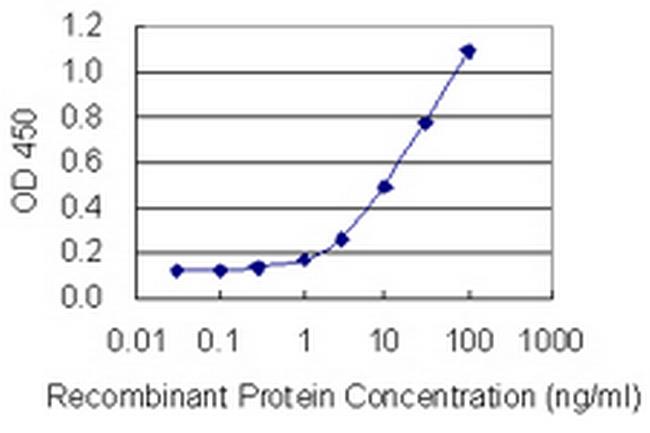 PHF6 Antibody in ELISA (ELISA)