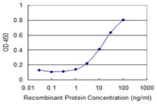 COL25A1 Antibody in ELISA (ELISA)