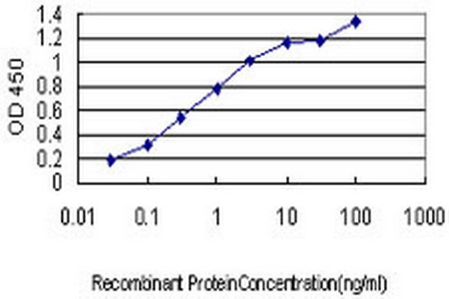 CYorf15B Antibody in ELISA (ELISA)