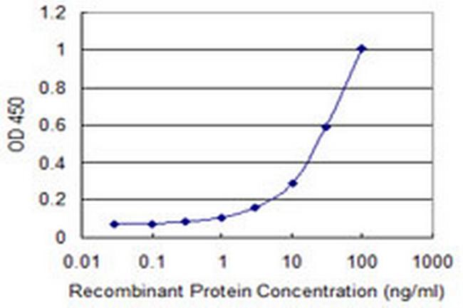 CARD6 Antibody in ELISA (ELISA)