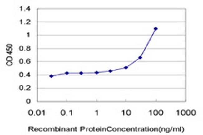 CBX2 Antibody in ELISA (ELISA)