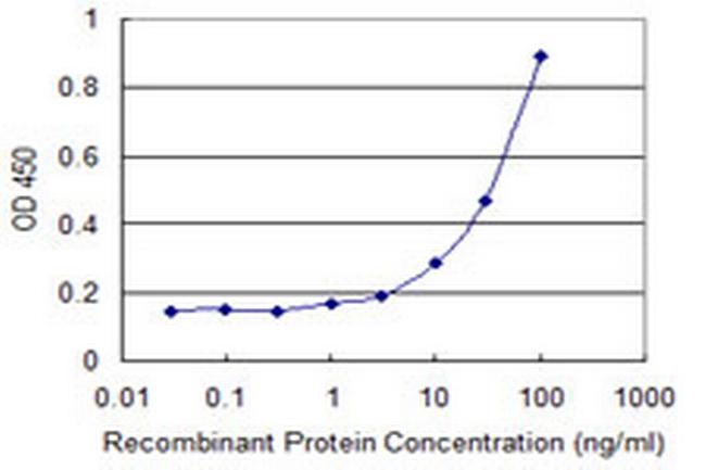 PLXDC2 Antibody in ELISA (ELISA)