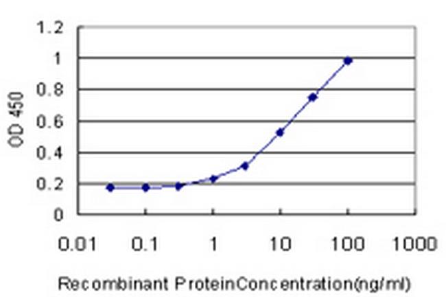 SSH2 Antibody in ELISA (ELISA)