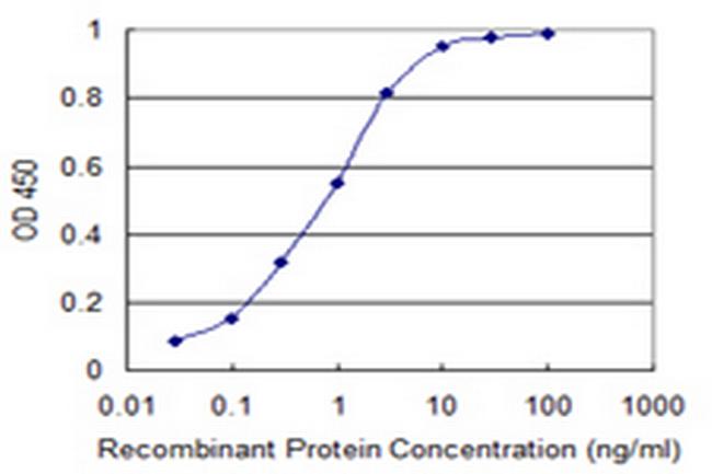 FGD3 Antibody in ELISA (ELISA)