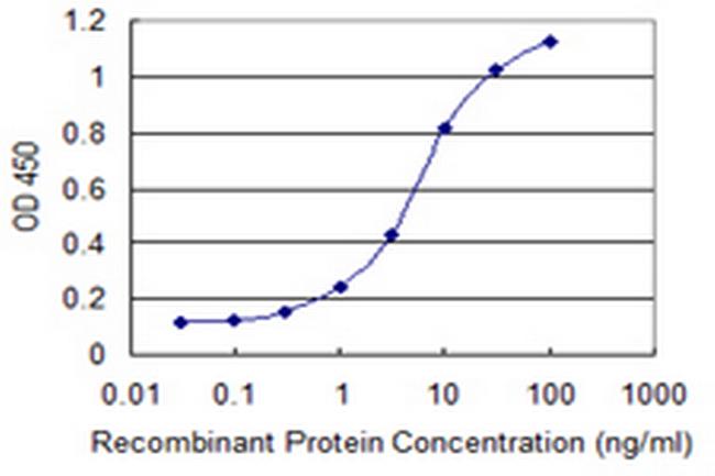 MRPS36 Antibody in ELISA (ELISA)