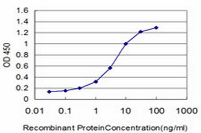 FOXQ1 Antibody in ELISA (ELISA)