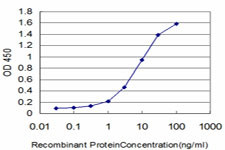 FOXQ1 Antibody in ELISA (ELISA)