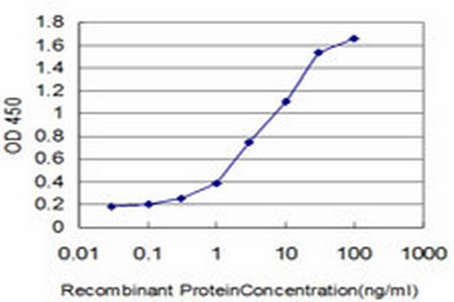FOXQ1 Antibody in ELISA (ELISA)