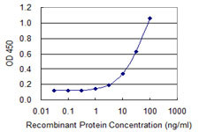 FOXQ1 Antibody in ELISA (ELISA)