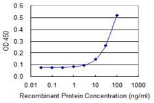 FOXQ1 Antibody in ELISA (ELISA)