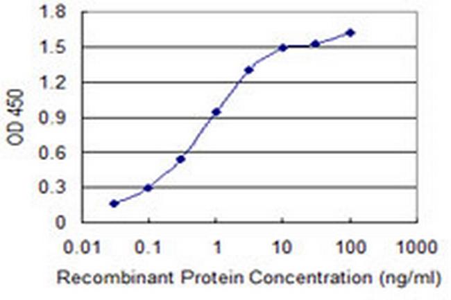 MRLC2 Antibody in ELISA (ELISA)