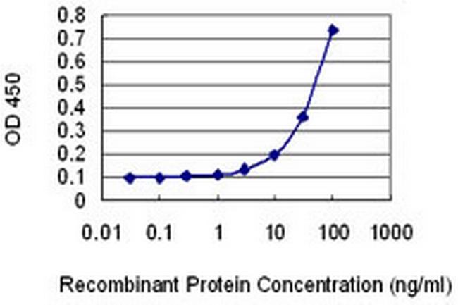 AHNAK2 Antibody in ELISA (ELISA)