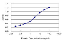 PRAP1 Antibody in ELISA (ELISA)
