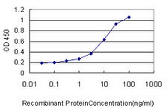 RHEBL1 Antibody in ELISA (ELISA)