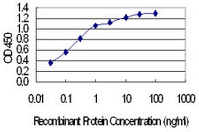 FAM100A Antibody in ELISA (ELISA)