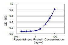SMCR7 Antibody in ELISA (ELISA)