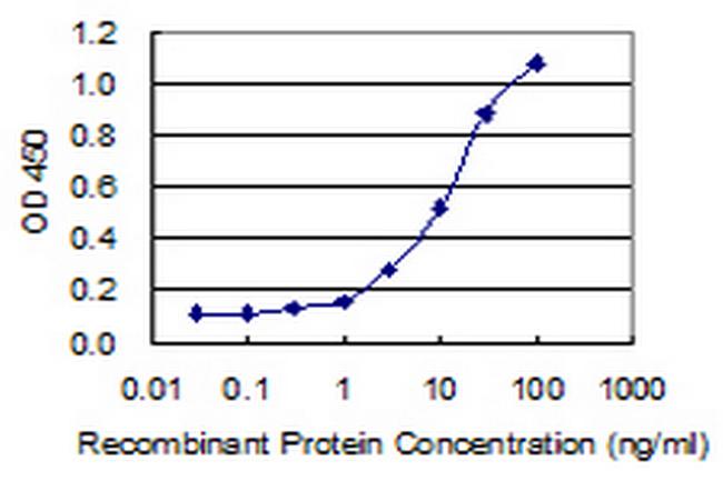 GIPC3 Antibody in ELISA (ELISA)