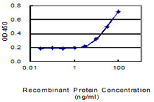 TMCO2 Antibody in ELISA (ELISA)