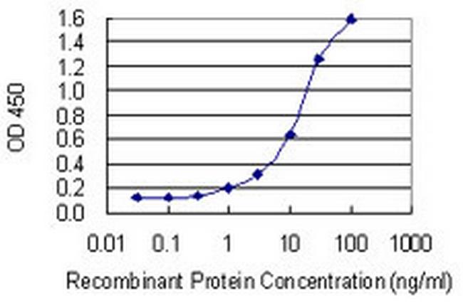 SPATA4 Antibody in ELISA (ELISA)