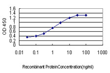 UNC5D Antibody in ELISA (ELISA)