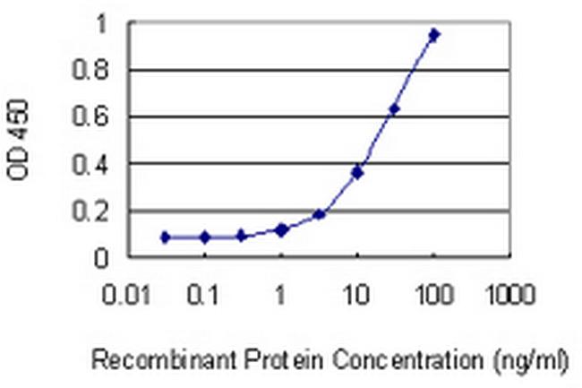 CHODL Antibody in ELISA (ELISA)