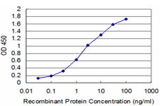 MIB2 Antibody in ELISA (ELISA)