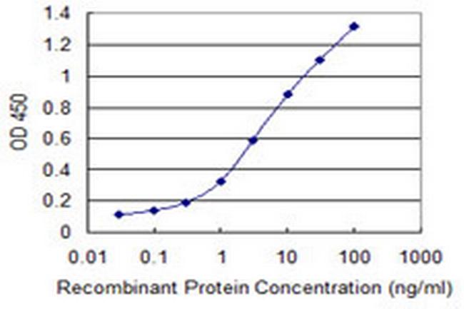 CLDN19 Antibody in ELISA (ELISA)