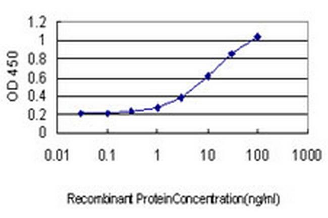GDF7 Antibody in ELISA (ELISA)