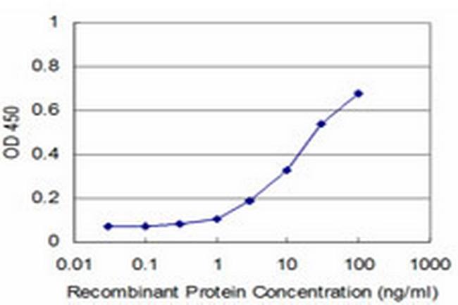 GDF7 Antibody in ELISA (ELISA)