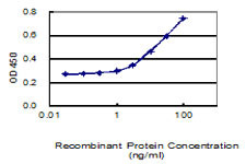 LRRC34 Antibody in ELISA (ELISA)