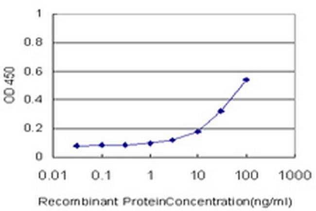 FLJ31951 Antibody in ELISA (ELISA)