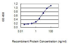 WBSCR27 Antibody in ELISA (ELISA)