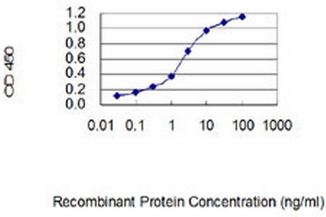 CLECL1 Antibody in ELISA (ELISA)