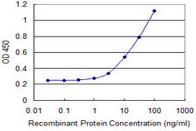 BHLHA15 Antibody in ELISA (ELISA)