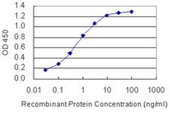FOXD4L1 Antibody in ELISA (ELISA)