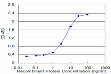 UNC13D Antibody in ELISA (ELISA)