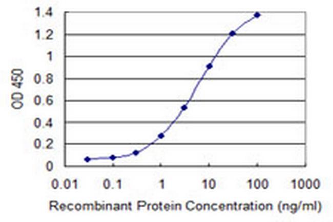 FLJ23834 Antibody in ELISA (ELISA)