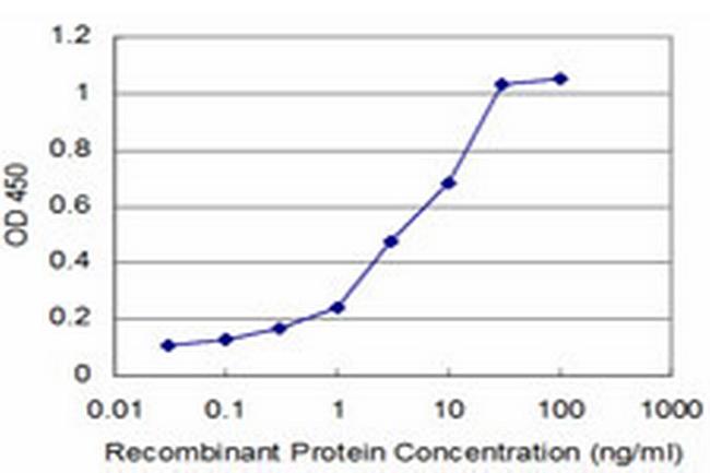 PTF1A Antibody in ELISA (ELISA)