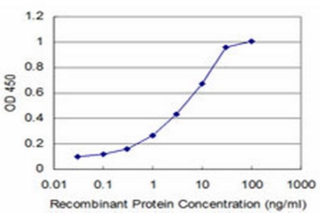 PTF1A Antibody in ELISA (ELISA)