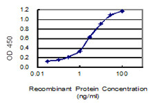 FAM44A Antibody in ELISA (ELISA)
