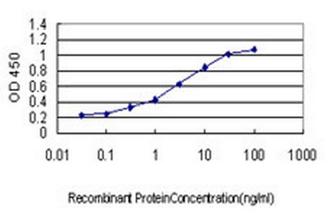 KSR2 Antibody in ELISA (ELISA)