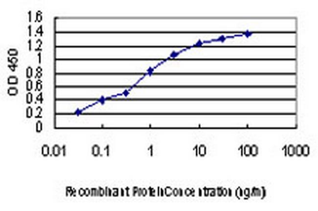 KSR2 Antibody in ELISA (ELISA)