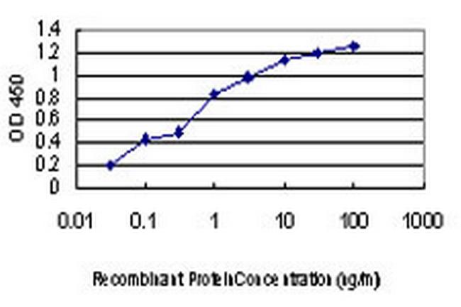 KSR2 Antibody in ELISA (ELISA)