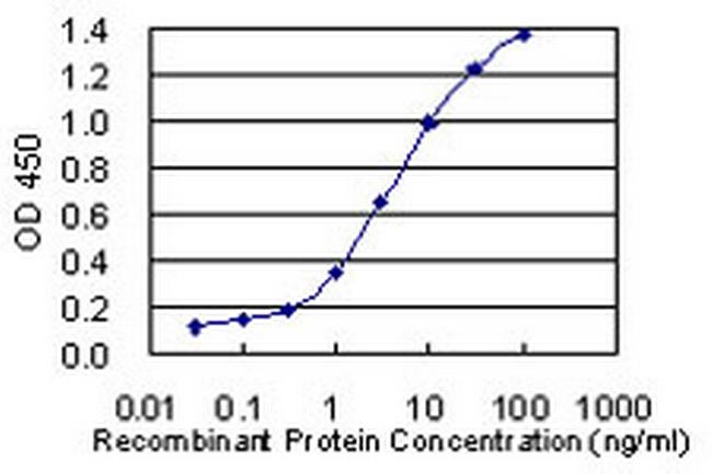 LOC285141 Antibody in ELISA (ELISA)