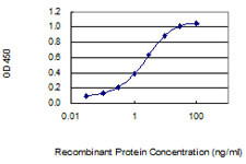 GPIHBP1 Antibody in ELISA (ELISA)
