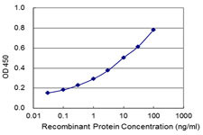 SPATC1 Antibody in ELISA (ELISA)